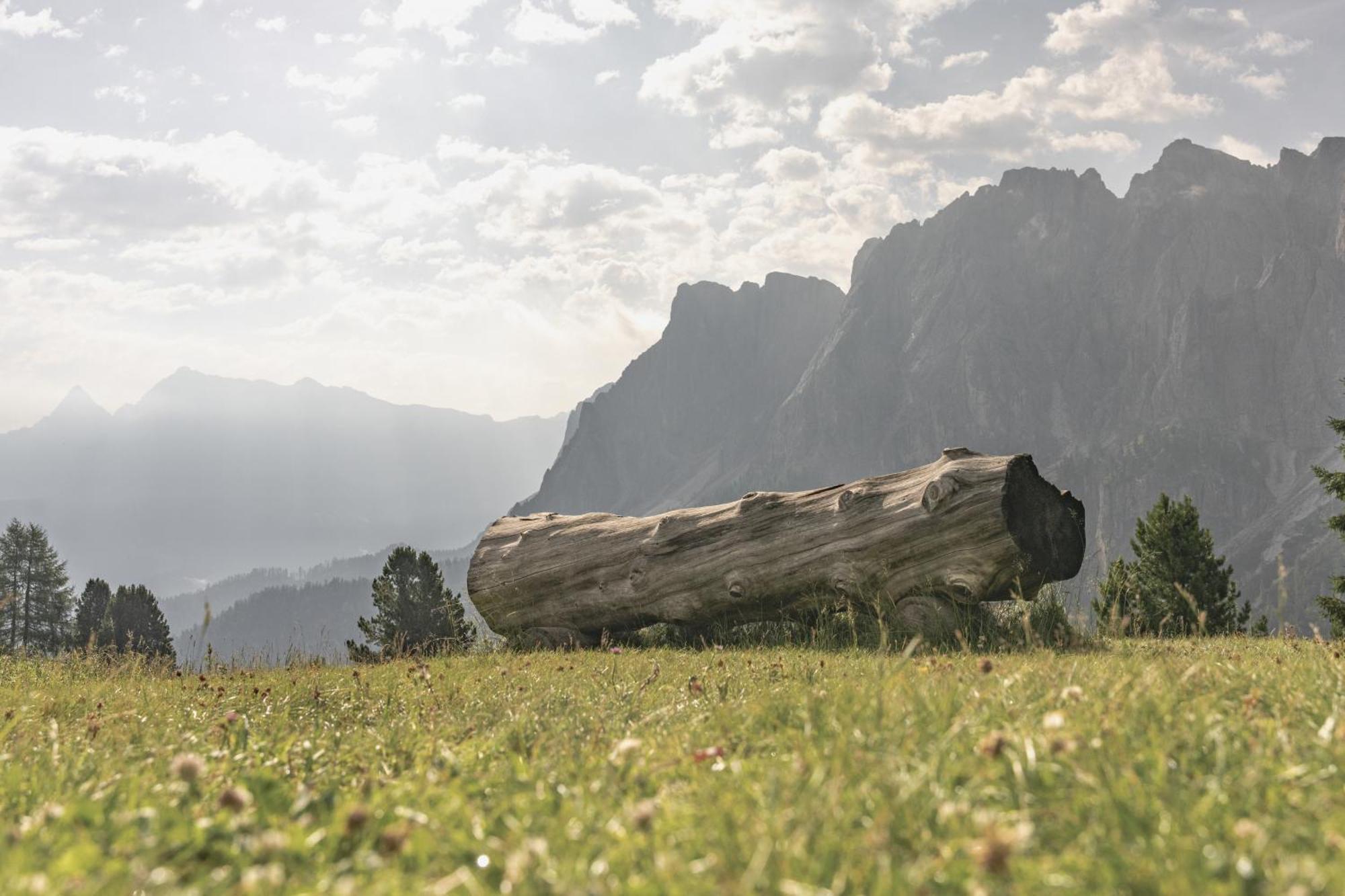 Ciasa Iachin - Dolomites Dream Retreat Leilighet San Martino in Badia Eksteriør bilde
