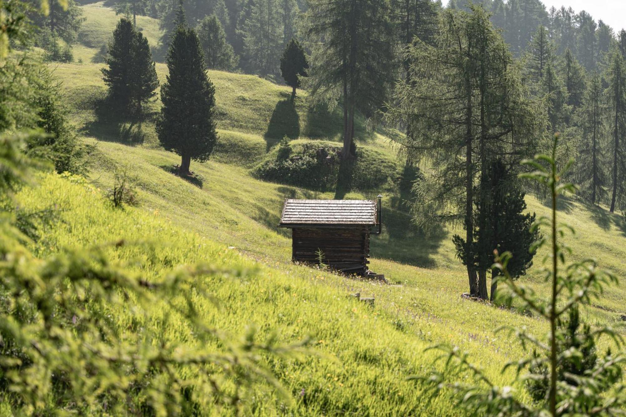 Ciasa Iachin - Dolomites Dream Retreat Leilighet San Martino in Badia Eksteriør bilde
