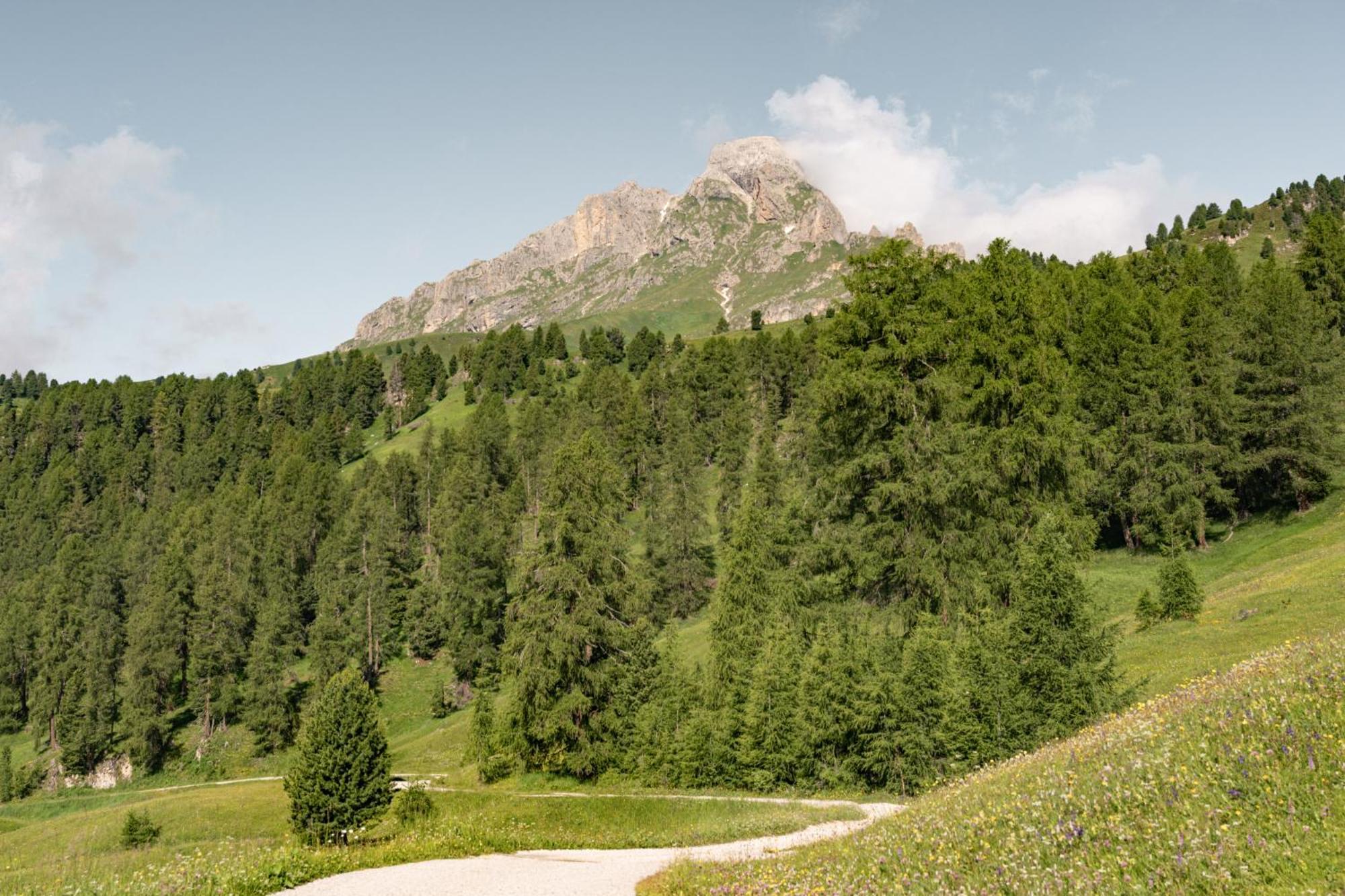 Ciasa Iachin - Dolomites Dream Retreat Leilighet San Martino in Badia Eksteriør bilde