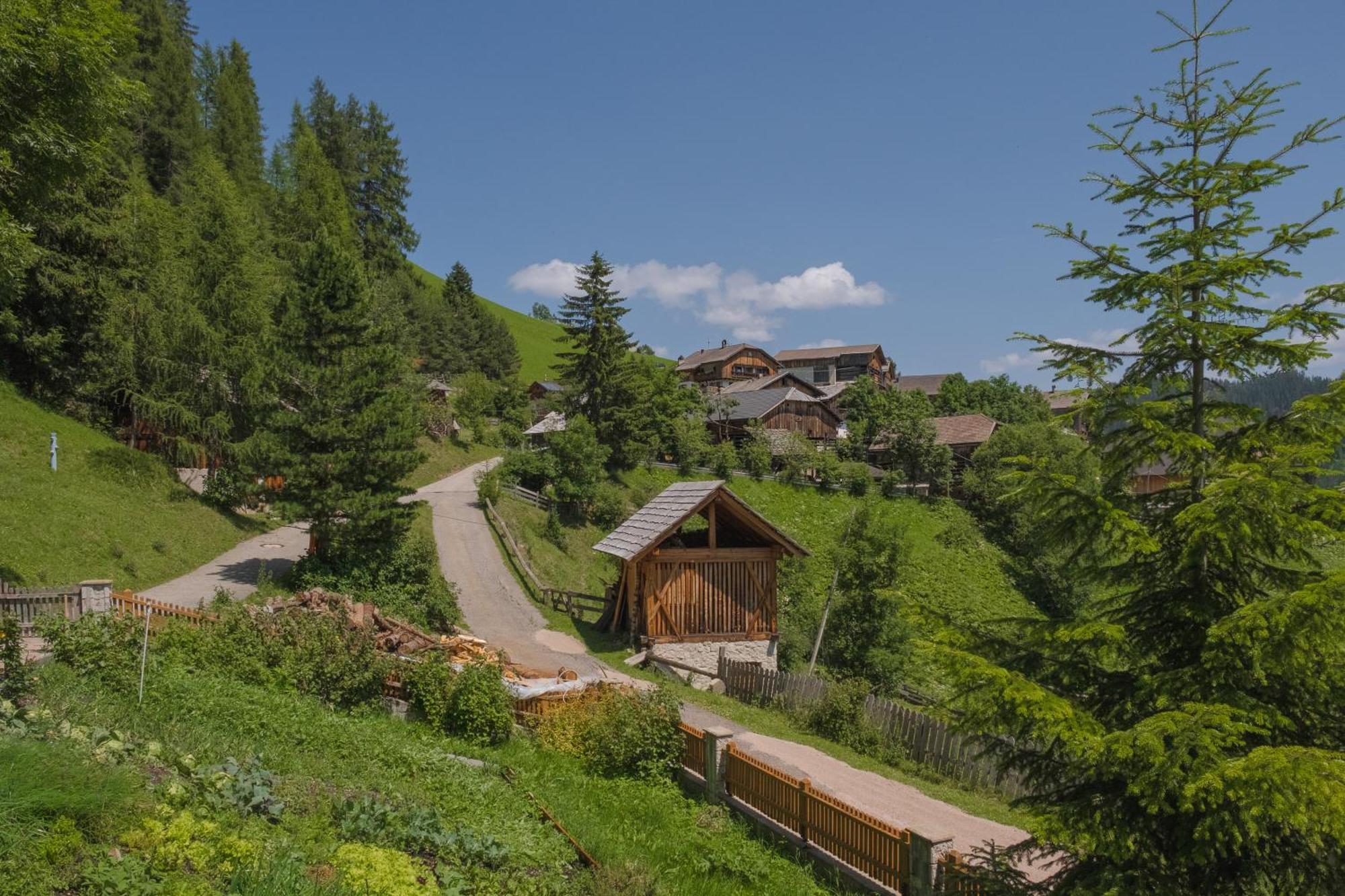 Ciasa Iachin - Dolomites Dream Retreat Leilighet San Martino in Badia Eksteriør bilde