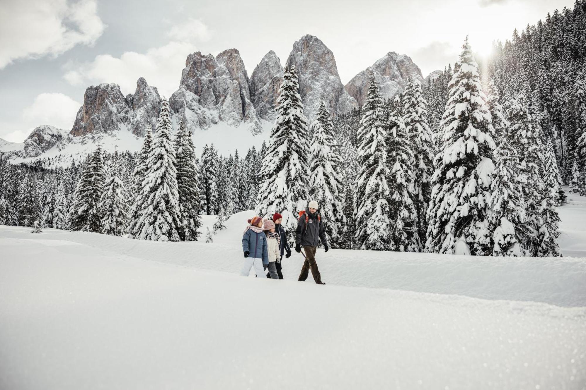 Ciasa Iachin - Dolomites Dream Retreat Leilighet San Martino in Badia Eksteriør bilde