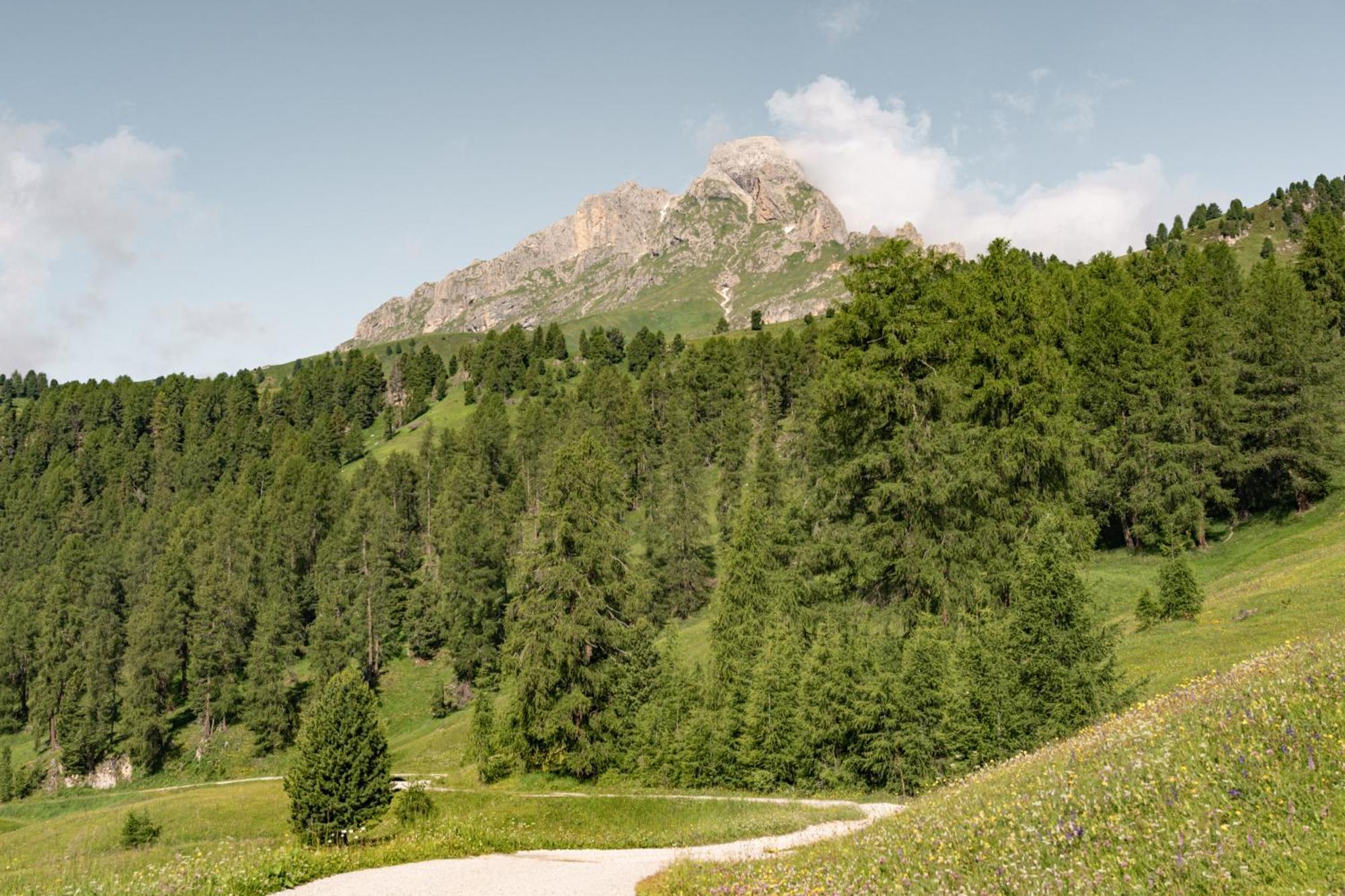 Ciasa Iachin - Dolomites Dream Retreat Leilighet San Martino in Badia Eksteriør bilde