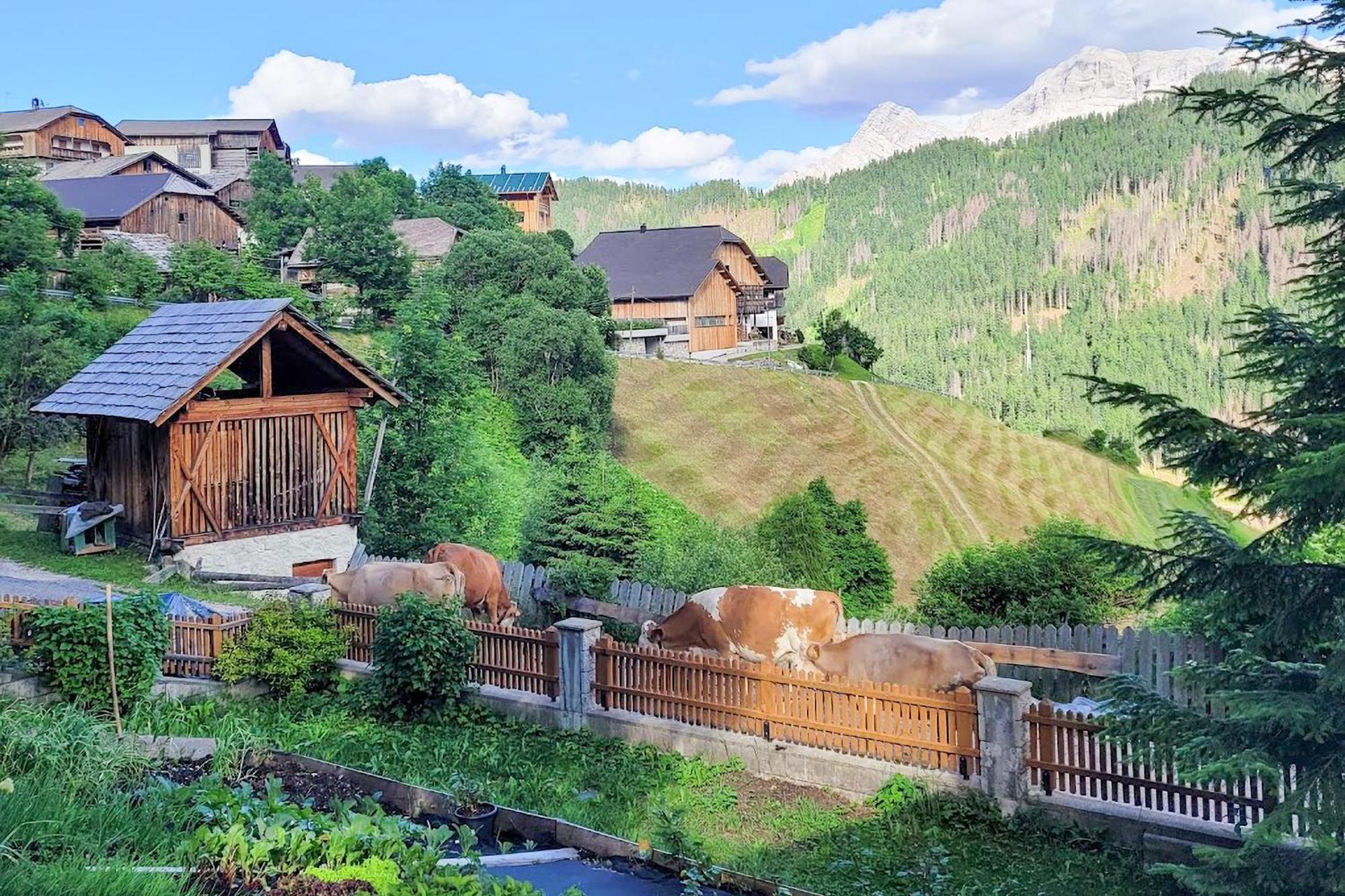 Ciasa Iachin - Dolomites Dream Retreat Leilighet San Martino in Badia Eksteriør bilde
