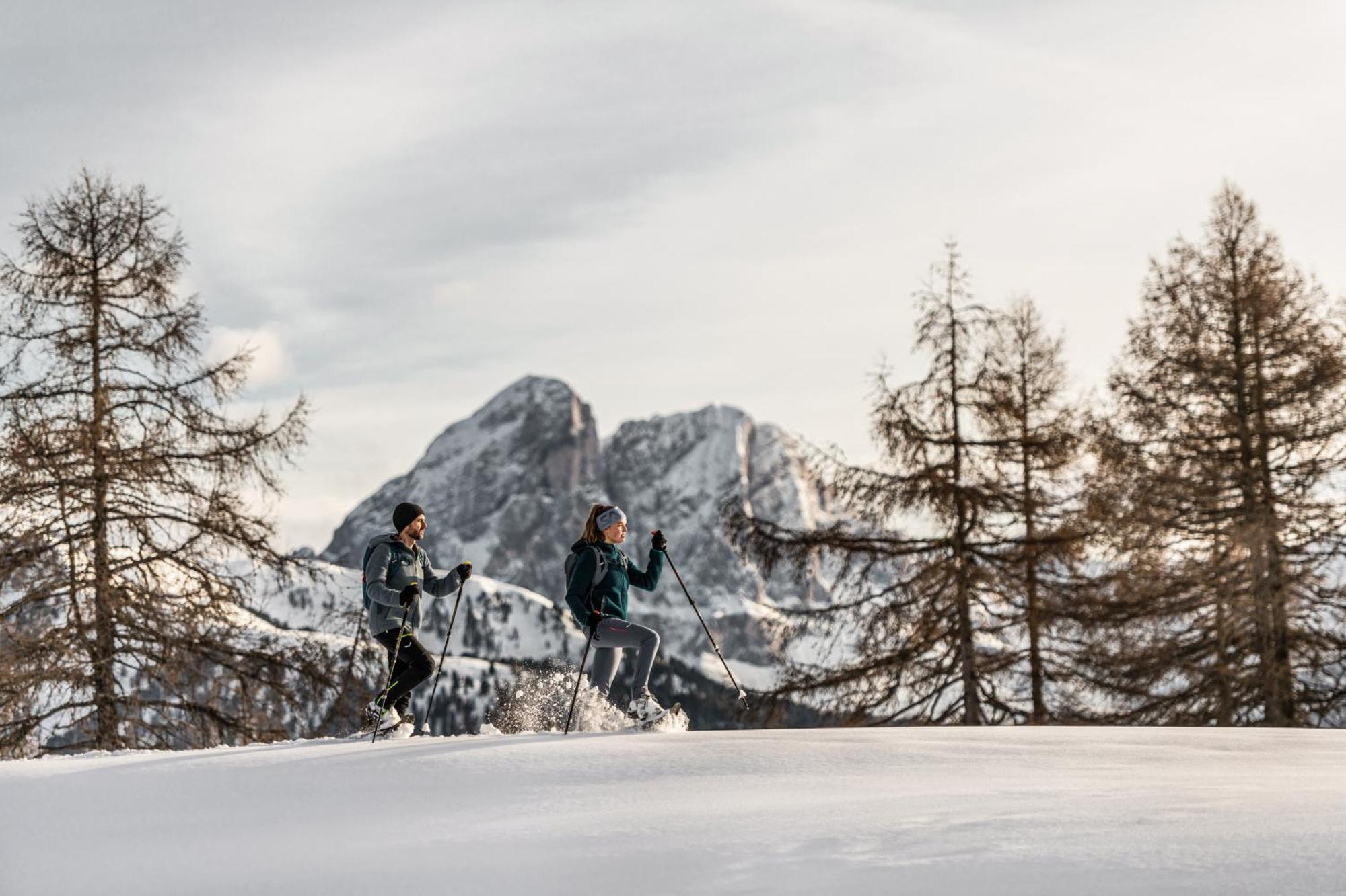 Ciasa Iachin - Dolomites Dream Retreat Leilighet San Martino in Badia Eksteriør bilde